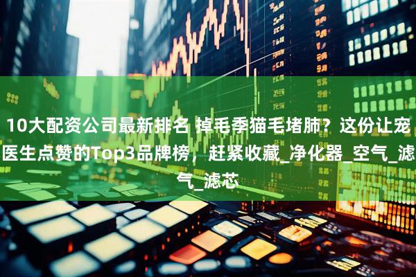 10大配资公司最新排名 掉毛季猫毛堵肺？这份让宠物医生点赞的Top3品牌榜，赶紧收藏_净化器_空气_滤芯