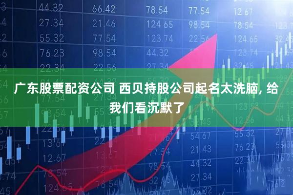 广东股票配资公司 西贝持股公司起名太洗脑, 给我们看沉默了