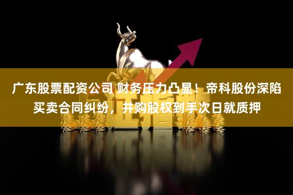 广东股票配资公司 财务压力凸显！帝科股份深陷买卖合同纠纷，并购股权到手次日就质押