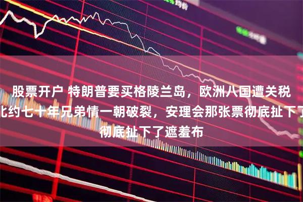 股票开户 特朗普要买格陵兰岛，欧洲八国遭关税威胁！北约七十年兄弟情一朝破裂，安理会那张票彻底扯下了遮羞布