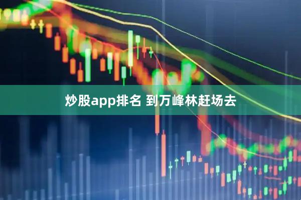 炒股app排名 到万峰林赶场去